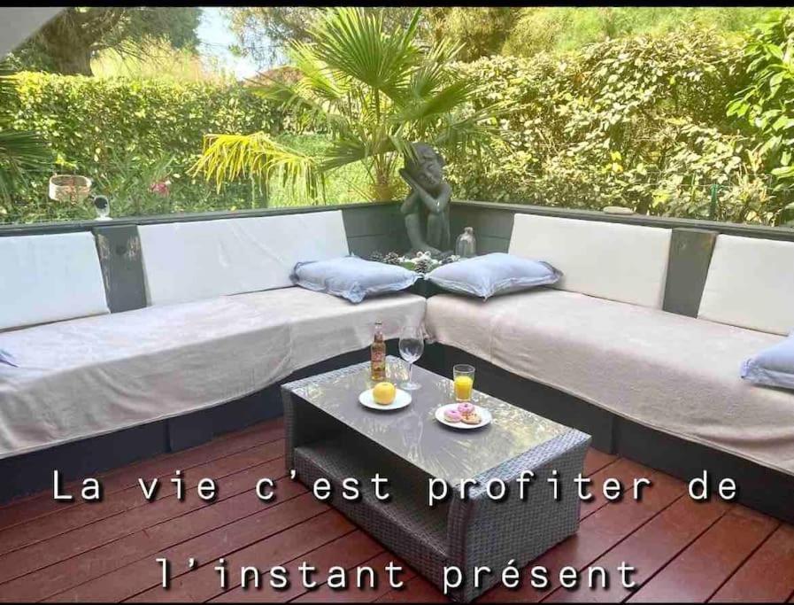 Appartement Un Petit Coin De Paradis Toulouse