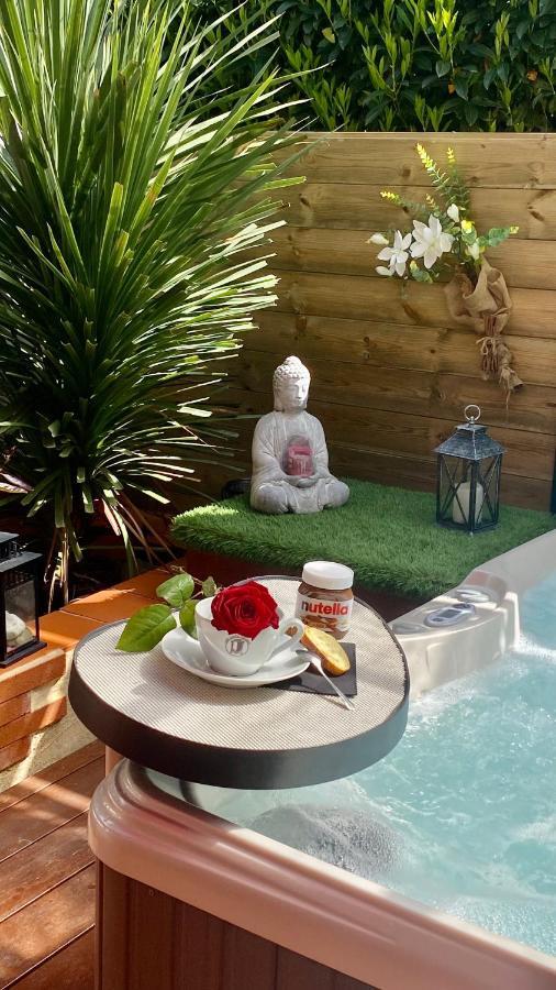 Un Petit Coin De Paradis Appartement Toulouse